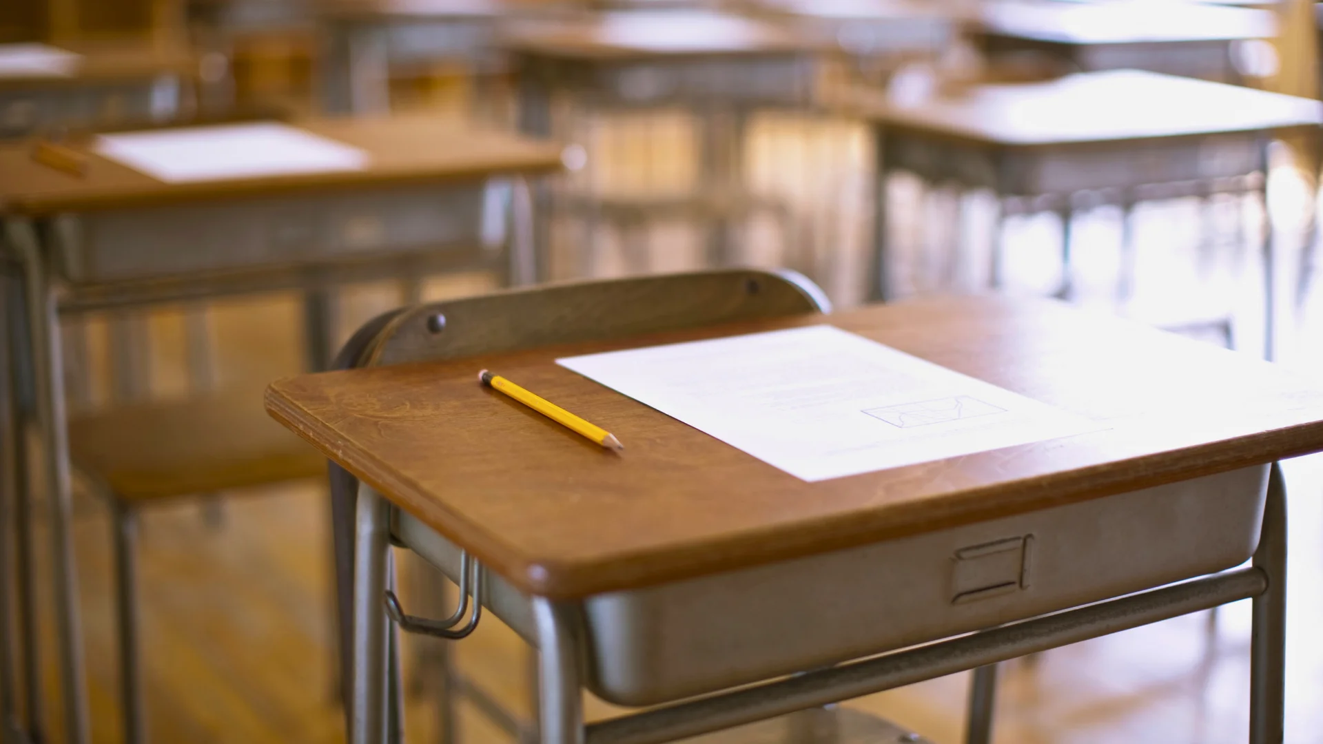 seviye tespit sinavi